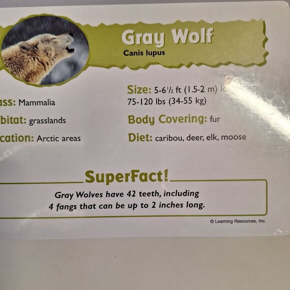 10 Animal Picture Cards Set Educational Wildlife Learning Resources Science New - Picture 4 of 4